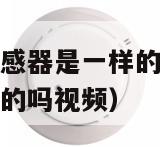 烟雾报警器和烟感器是一样的吗（烟雾报警器和烟感器是一样的吗视频）