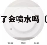 烟雾报警器触发了会喷水吗（烟雾报警器触发了会喷水吗）