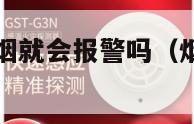 烟雾报警器有烟就会报警吗（烟雾报警器里有监控吗）